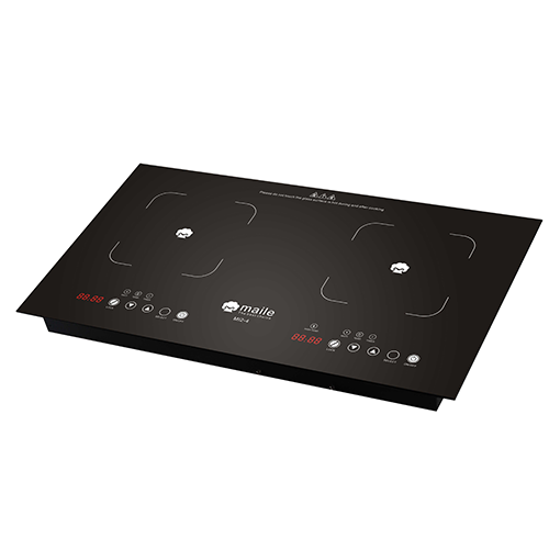 Induction Cooker