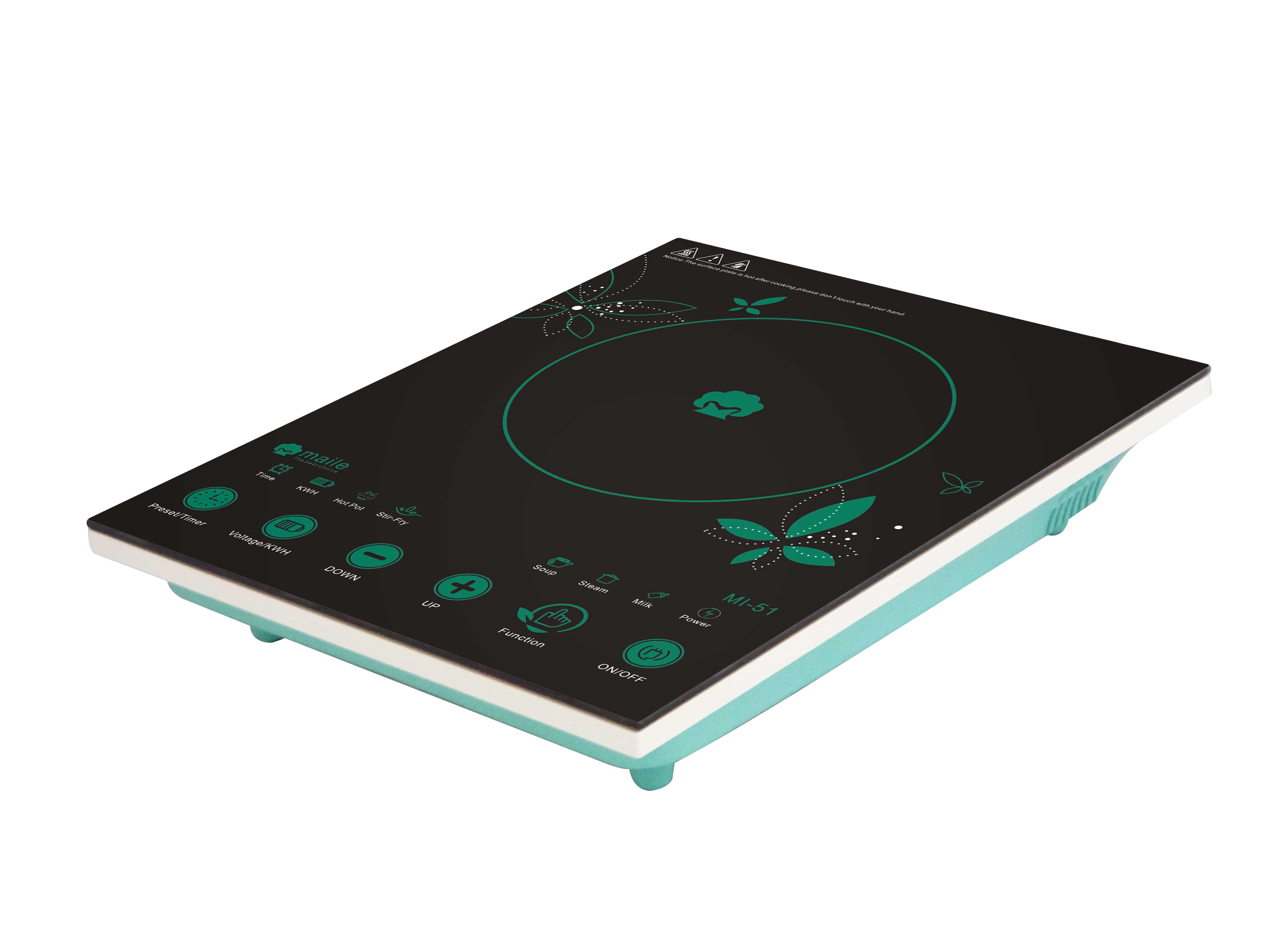 Induction Cooker